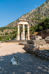 Similar image 22249713