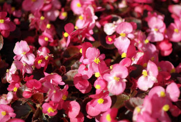 Similar image 22278284