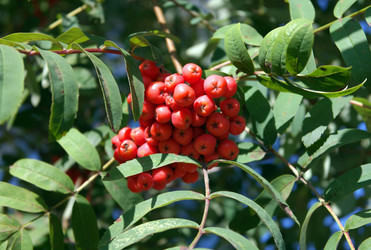 Similar image 22278285