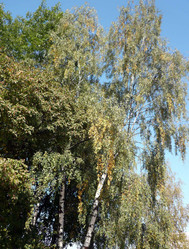 Similar image 22278297