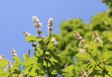 Similar image 22278308