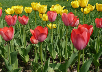 Similar image 22278317