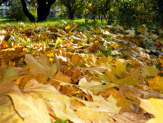 Similar image 22278321