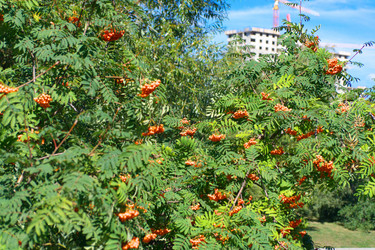 Similar image 22278322