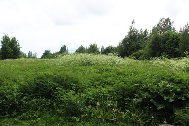 Similar image 22284077