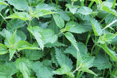 Similar image 22284078