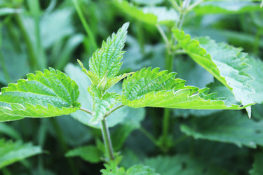 Similar image 22284079