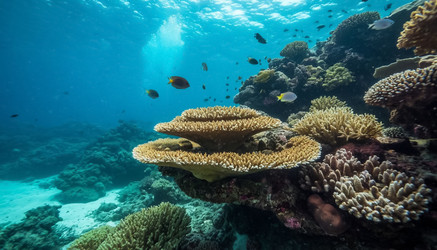 Similar image 22255713