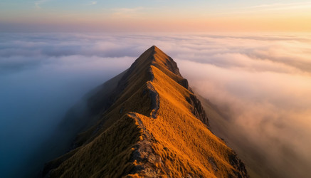 Similar image 22255715