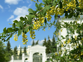 Similar image 22249070