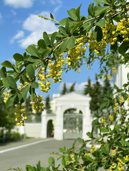 Similar image 22249071