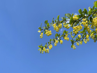 Similar image 22249072