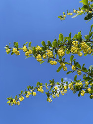 Similar image 22249073