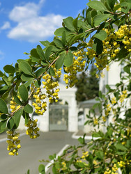 Similar image 22249074