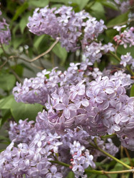 Similar image 22249087