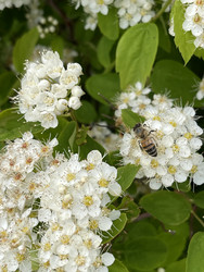 Similar image 22249090