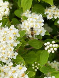 Similar image 22249091