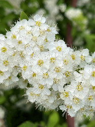 Similar image 22249092