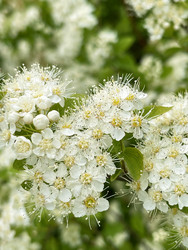 Similar image 22249093