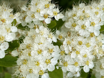 Similar image 22249094