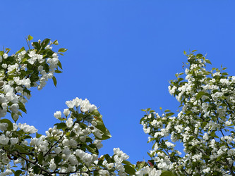 Similar image 22249098