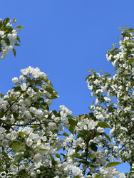 Similar image 22249099