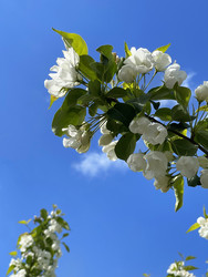 Similar image 22249100