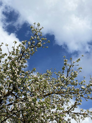 Similar image 22249102