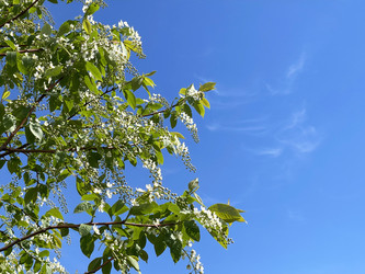 Similar image 22249103