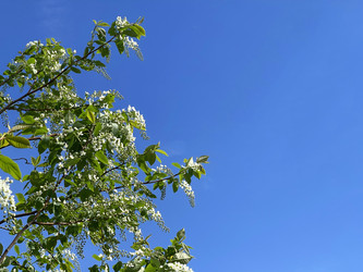 Similar image 22249104