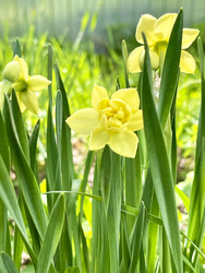 Similar image 22249106