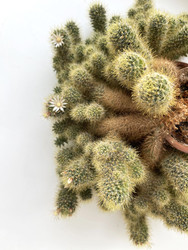 Similar image 22249876