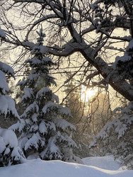 Similar image 22249877