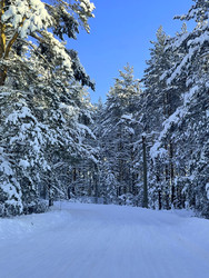 Similar image 22249109