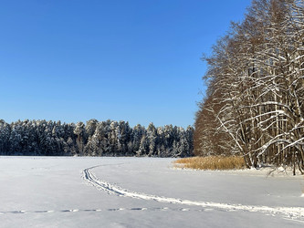 Similar image 22249113