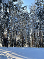 Similar image 22249116