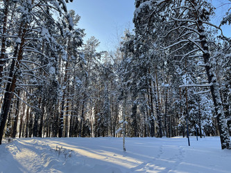 Similar image 22249118