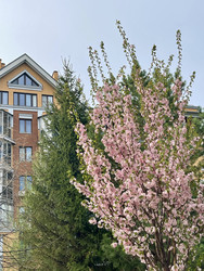 Similar image 22249131