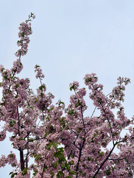 Similar image 22249133