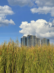 Similar image 22249141