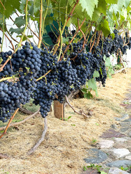 Similar image 22249166