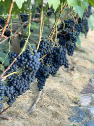 Similar image 22249168