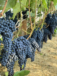 Similar image 22249169