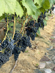 Similar image 22249170