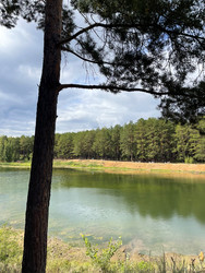 Similar image 22249173