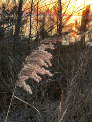 Similar image 22249177