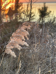 Similar image 22249178