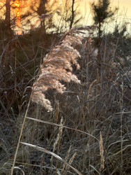 Similar image 22249179