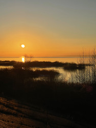 Similar image 22249181