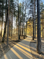 Similar image 22249183